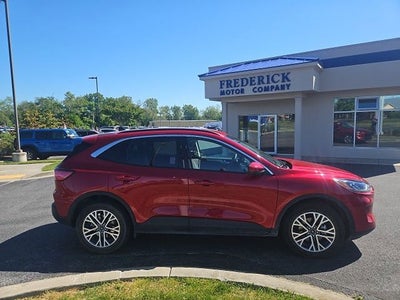 2021 Ford Escape Hybrid SEL