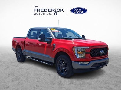 2023 Ford F-150 XLT